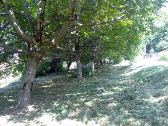 Espace Création Nature entretien d'espaces verts en Haute-Savoie 74 Grand Massif Arâches