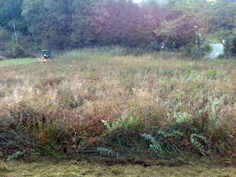 Espace Création Nature entretien d'espaces verts en Haute-Savoie 74 Grand Massif Arâches