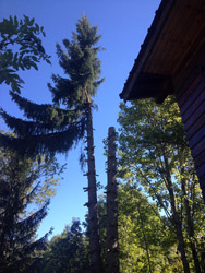 Espace Création Nature entretien d'espaces verts en Haute-Savoie 74 Grand Massif Arâches