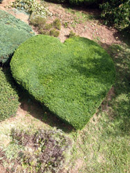 Espace Création Nature entretien d'espaces verts en Haute-Savoie 74 Grand Massif Arâches