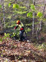 Espace Création Nature entretien d'espaces verts en Haute-Savoie 74 Grand Massif Arâches