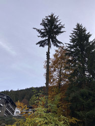 Espace Création Nature entretien d'espaces verts en Haute-Savoie 74 Grand Massif Arâches