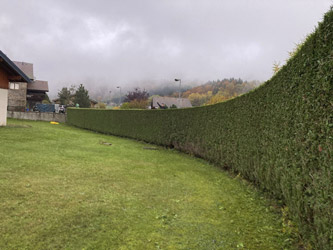Espace Création Nature entretien d'espaces verts en Haute-Savoie 74 Grand Massif Arâches