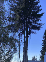 Espace Création Nature entretien d'espaces verts en Haute-Savoie 74 Grand Massif Arâches
