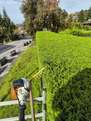 Espace Création Nature entretien d'espaces verts en Haute-Savoie 74 Grand Massif Arâches