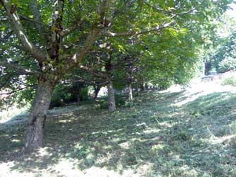 Espace Création Nature entretien d'espaces verts en Haute-Savoie 74 Grand Massif Arâches