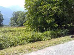 Espace Création Nature entretien d'espaces verts en Haute-Savoie 74 Grand Massif Arâches