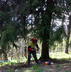 Espace Création Nature entretien d'espaces verts en Haute-Savoie 74 Grand Massif Arâches