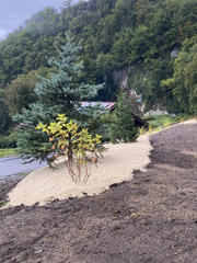 ECN Rubin paysagiste en Haute-Savoie 74 Les Carroz d'Arâches