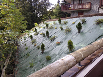 Espace Création Nature paysagiste en Haute-Savoie 74 Grand Massif Arâches