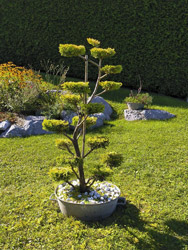 ECN Rubin paysagiste en Haute-Savoie 74 Les Carroz d'Arâches